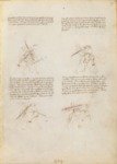 MS M.383 11r.png