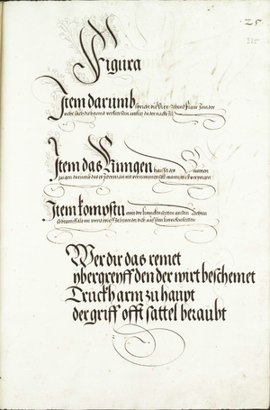 MS Dresd.C.94 325r.png
