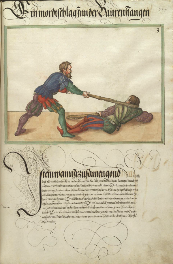 MS Dresd.C.93 224r.png