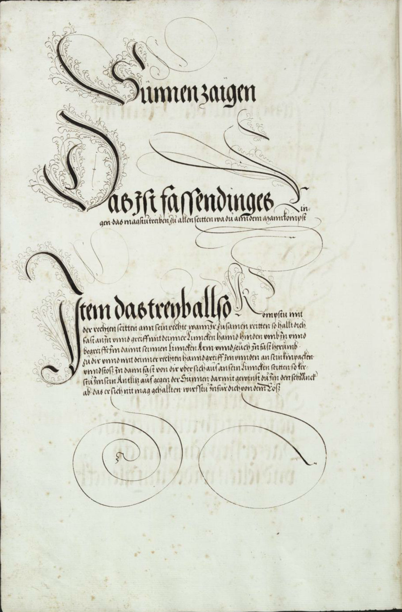 MS Dresd.C.94 324v.png