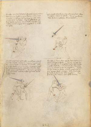 MS M.383 15r.png