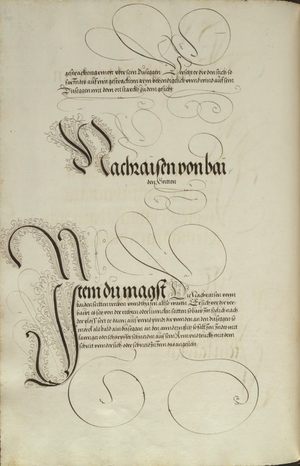 MS Dresd.C.93 159v.png