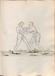 Cod.10799 109r.jpg