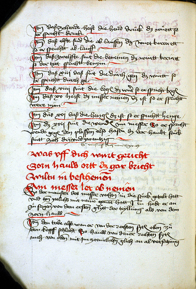 MS M.I.29 048v.jpg