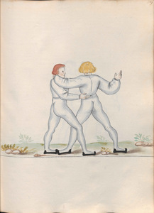 Cod.10799 139r.jpg