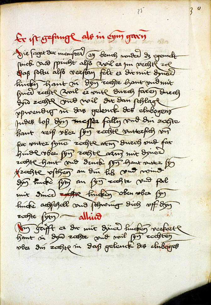 MS M.I.29 075r.jpg