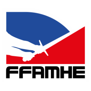 FFAMHE logo.png