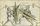 MS Thott.290.2º 100v.jpg