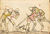Cod.I.6.4º.2 094r.jpg