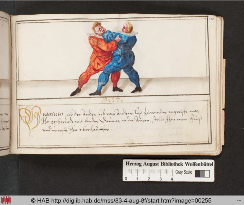 Cod.Guelf.83.4 Aug.8º 110r.png