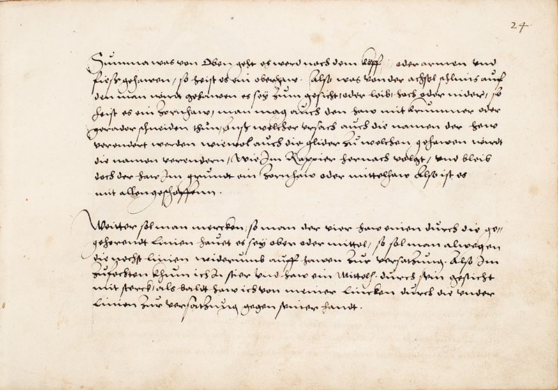 File:MS Bibl. 2465 024r.jpg
