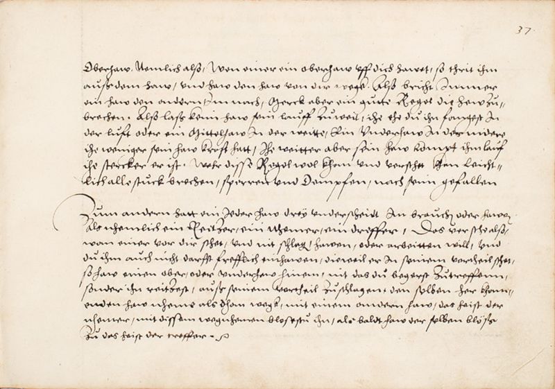File:MS Bibl. 2465 037r.jpg
