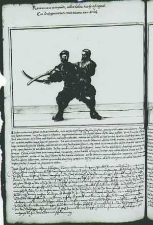 Cod.10825 132v.jpg