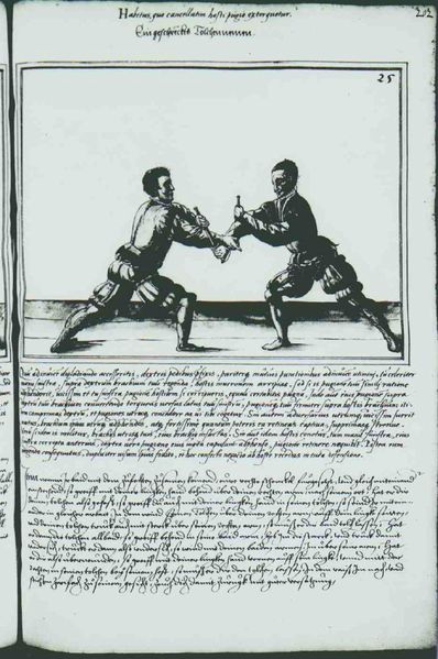 File:Cod.10825 223r.jpg