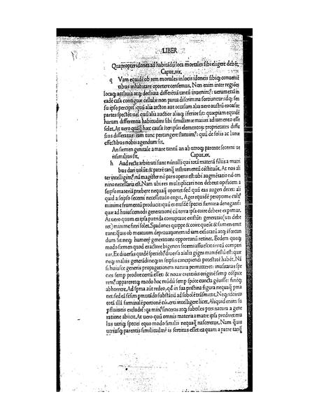 File:De Dignoscendis Hominibus (Pedro Monte) 1492.pdf