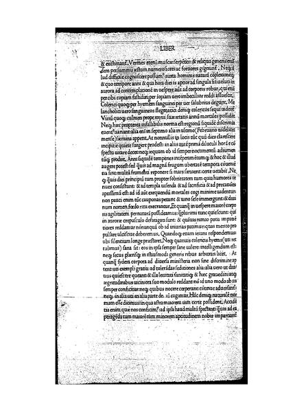 File:De Dignoscendis Hominibus (Pedro Monte) 1492.pdf