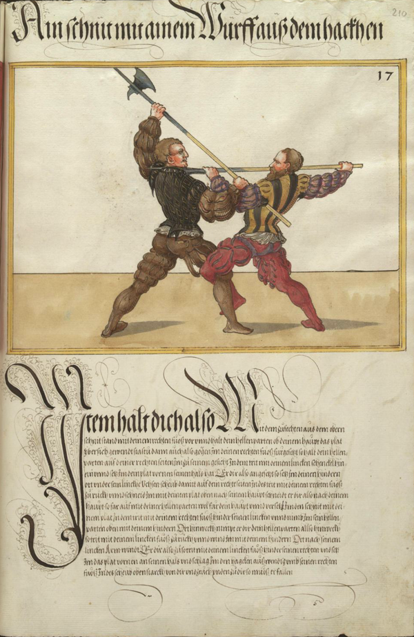 MS Dresd.C.93 210r.png