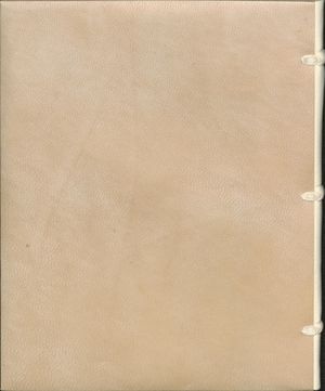 MS BPL.3281 Cover 4.jpg