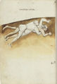 Thumbnail for version as of 01:39, 20 February 2014