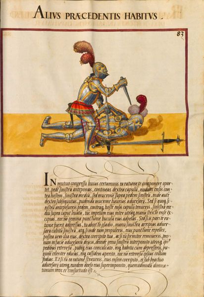 File:Cod.icon. 393 II 282r.jpg