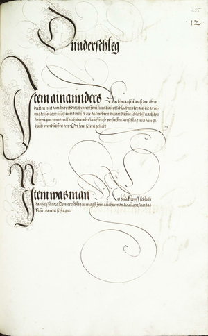 MS Dresd.C.94 255r.png