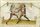 MS Thott.290.2º 120r.jpg