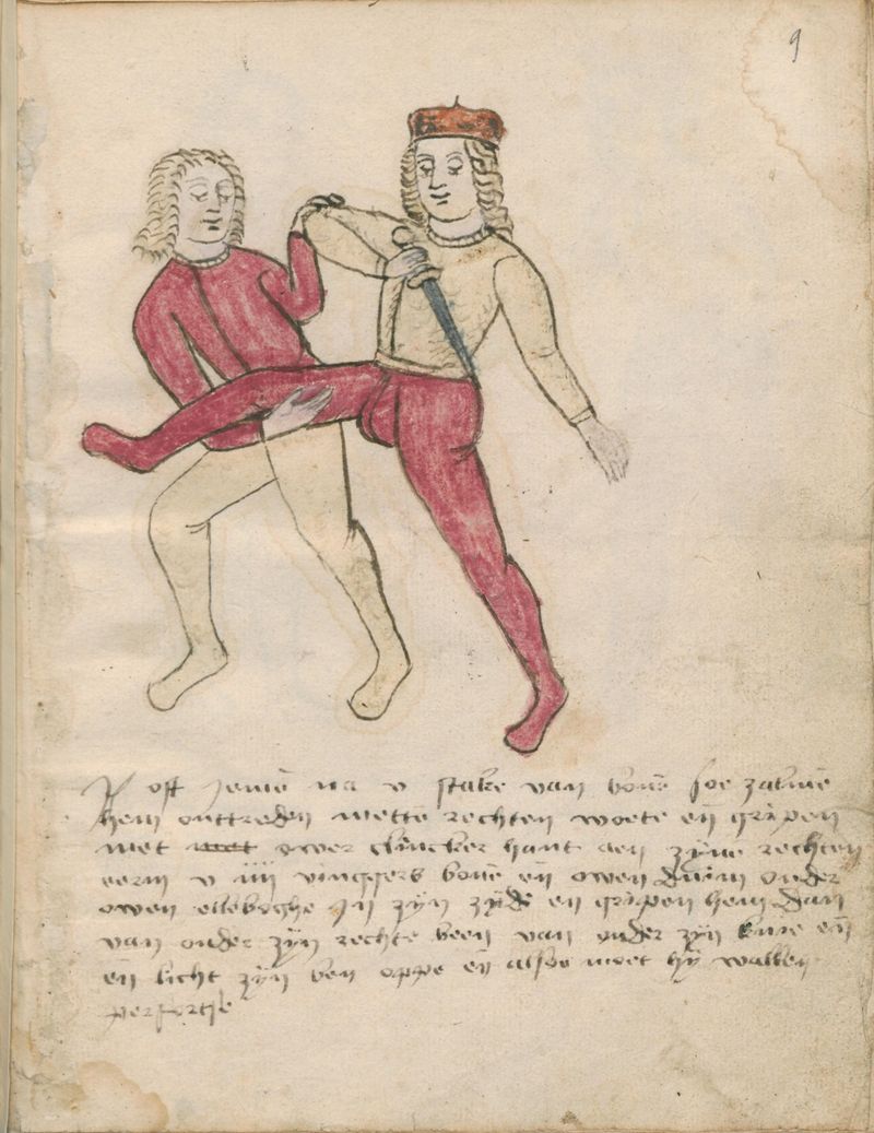 MS BPL.3281 09r.jpg