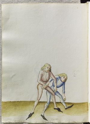 MS CL23842 109v.jpg