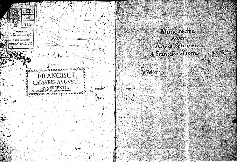 File:MS II.iii.315 Ir.jpg