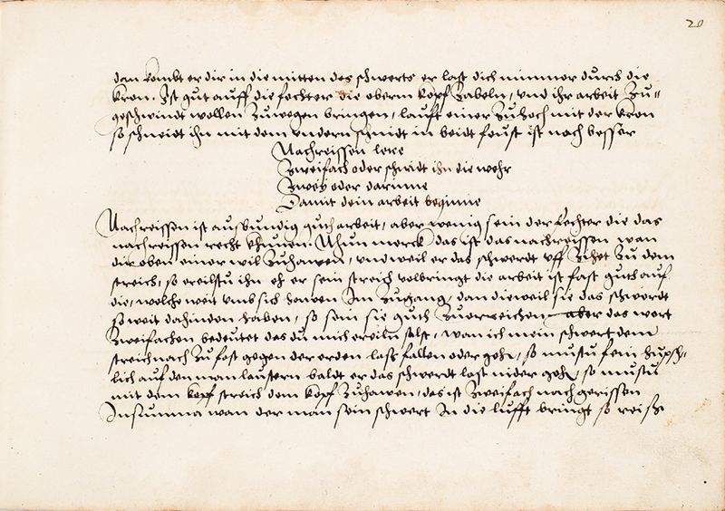 File:MS Bibl. 2465 020r.jpg