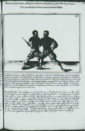 Cod.10825 224r.jpg