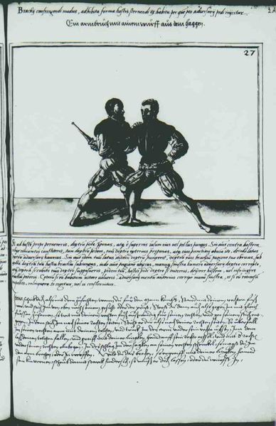 File:Cod.10825 224r.jpg