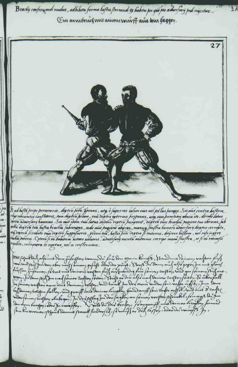 Cod.10825 224r.jpg