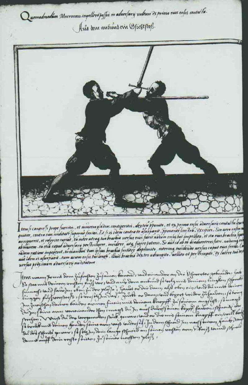 Cod.10825 056v.jpg