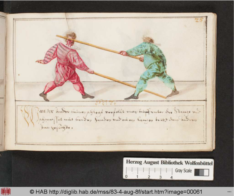 Cod.Guelf.83.4 Aug.8º 025r.png