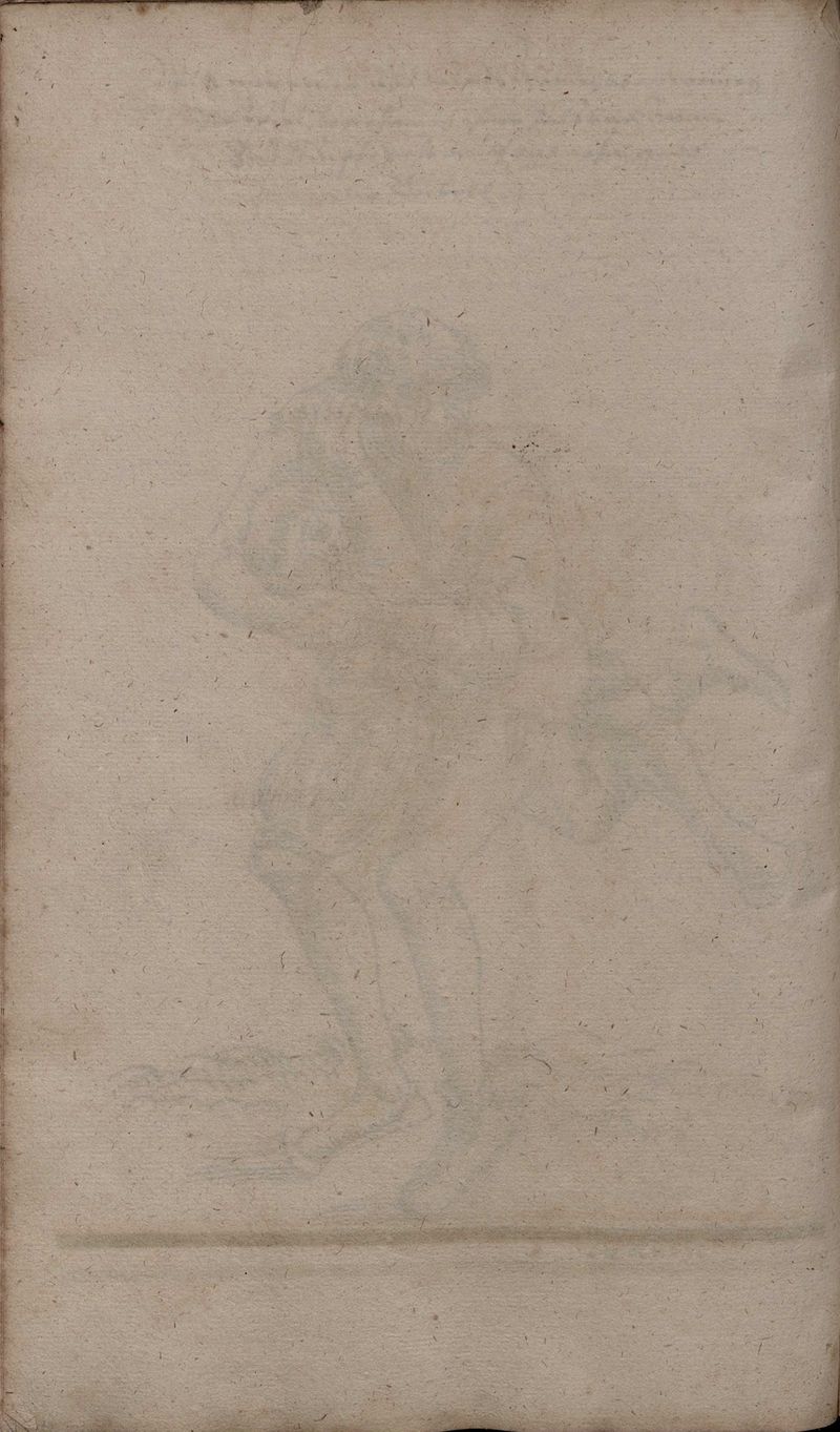 2º Cod.MS.Philos.62 72v.jpg