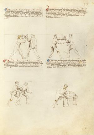 MS Ludwig XV 13 16r.jpg