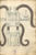 MS B.26 058r.png