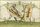 MS Thott.290.2º 114r.jpg