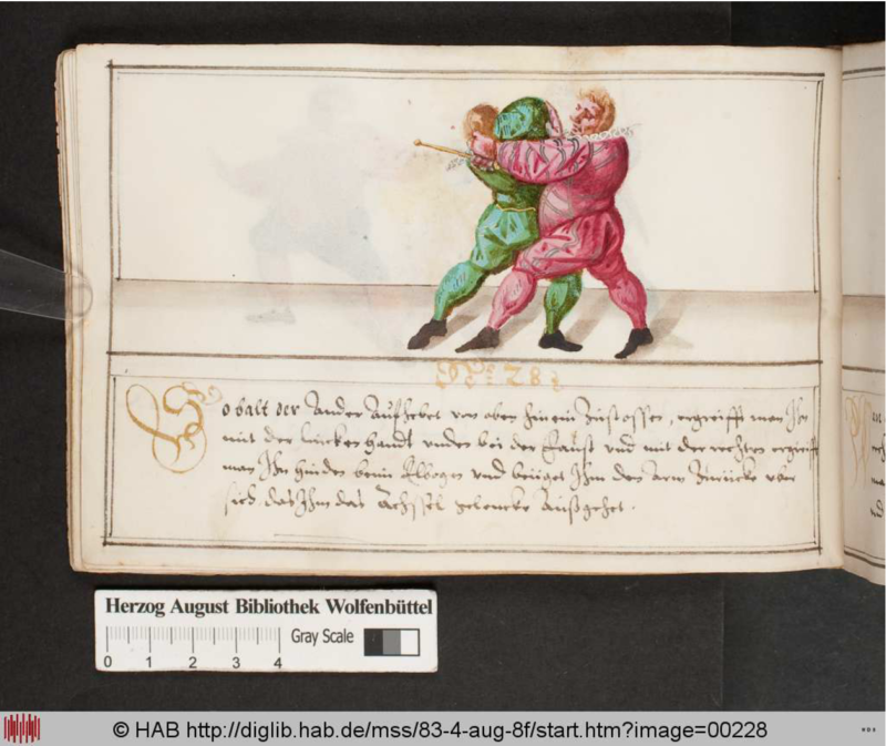 Cod.Guelf.83.4 Aug.8º 100v.png