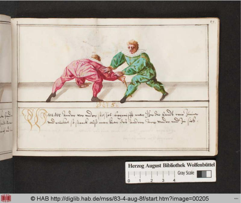 Cod.Guelf.83.4 Aug.8º 089r.png