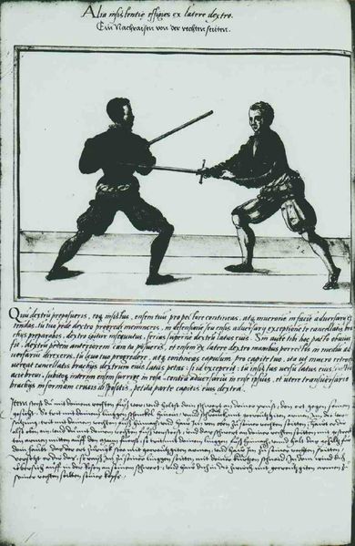 File:Cod.10825 027v.jpg