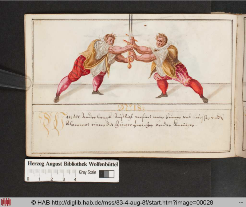 Cod.Guelf.83.4 Aug.8º 010v.png