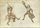 MS Thott.290.2º 013v.jpg