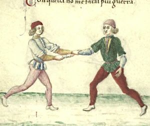 Cod.1324 31v-a.jpg