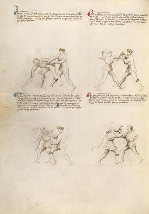 MS Ludwig XV 13 11v.jpg