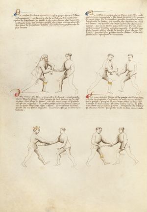 MS Ludwig XV 13 17v.jpg