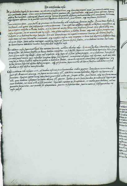 File:Cod.10825 116v.jpg
