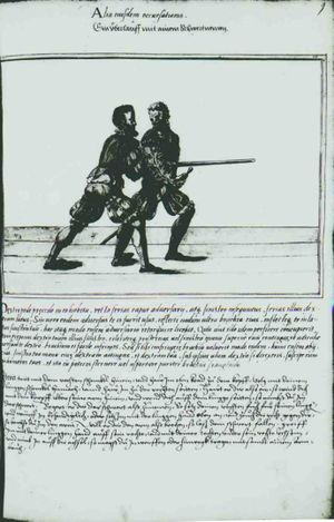Cod.10825 029r.jpg