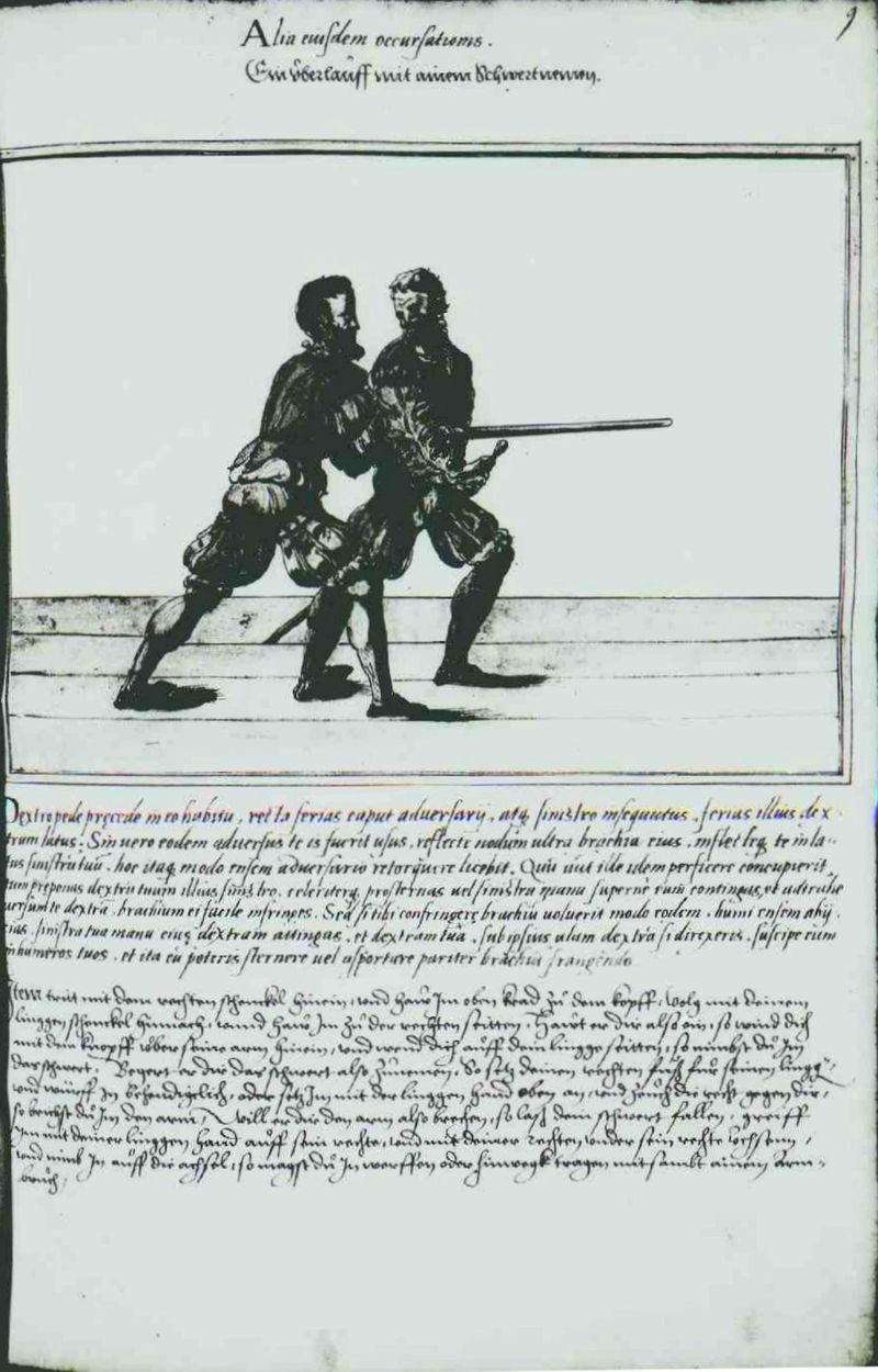 Cod.10825 029r.jpg